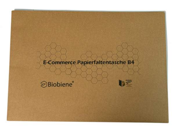 Umweltfreundlich bedruckte E-Commerce Papierfaltentasche aus Papier