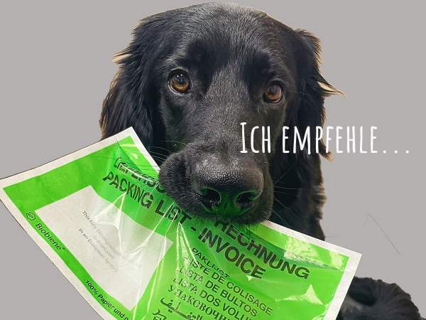 Grüne Lieferscheintaschen aus Papier DIN Lang (100 Stück.) Kleinpackung