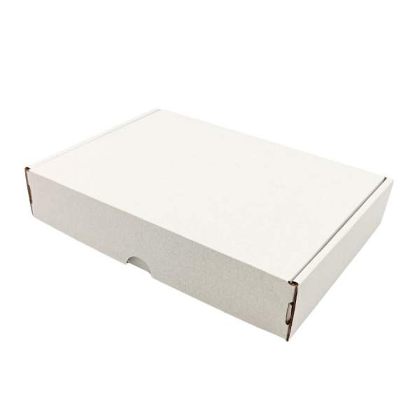 Maxibriefkarton-MB2W-250x175x50mm-einwellig-weiß